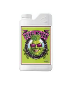 Big Bud 500ml