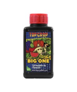Big One 100ml