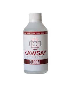 Bloom 2 L