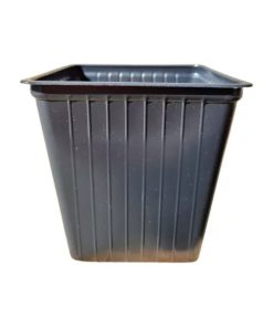 Feeding Bio grow 1kg